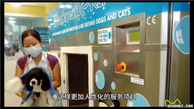 宠物自助洗澡
