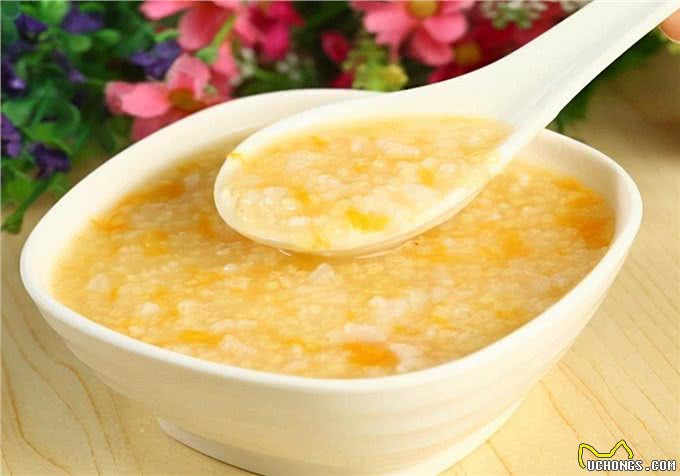 处理指南:怎么让狗狗排便?发现排便后的处理干货分享