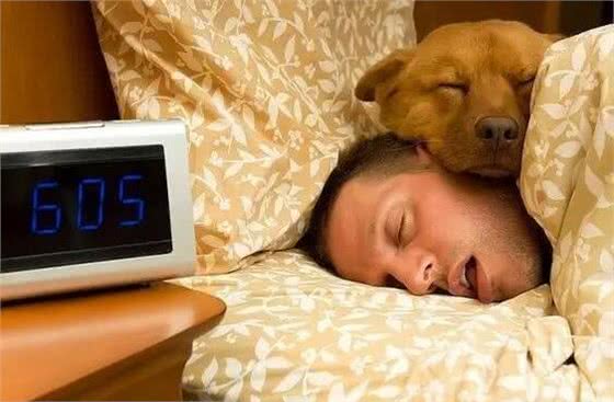 如何安全地与狗狗共眠?这6点很重要，别怪我没提醒