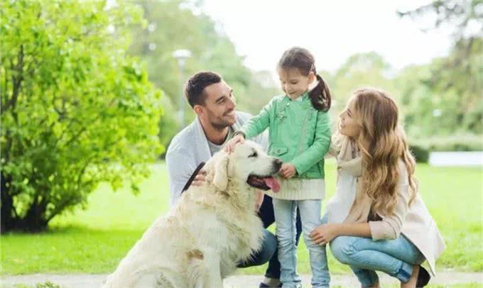 六个简单的方法，停止狗狗扑人的行为