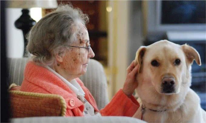 在等待多年后，四肢瘫痪的病人第一次见到了他的服务犬