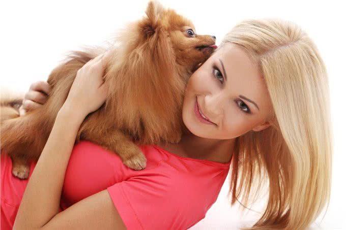 秋季狗毛满天飞怎么办?教你4个小方法