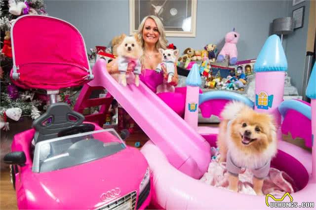 英国女子每年给宠物狗花12万,狗狗有专属衣柜,散步穿舞会礼服