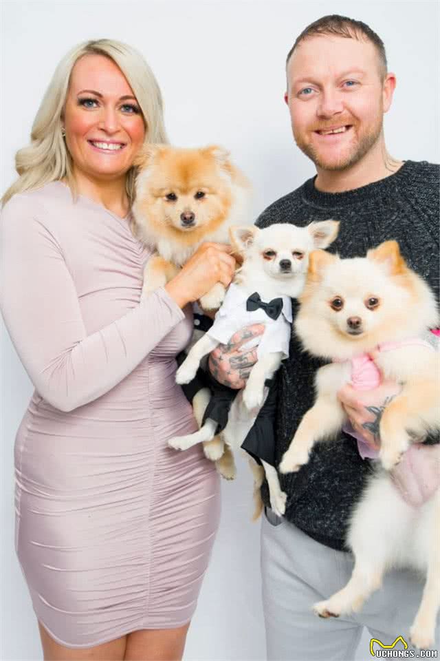 英国女子每年给宠物狗花12万,狗狗有专属衣柜,散步穿舞会礼服