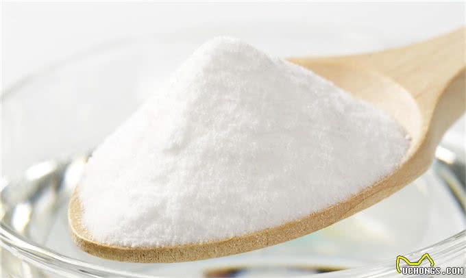 狗狗身上臭烘烘，家里也是一股狗味，主人应该怎么办?