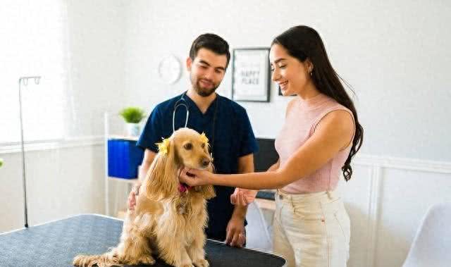 建议：宠物狗办理身份证，标注狗主人姓名，防止狗咬人找不到主人