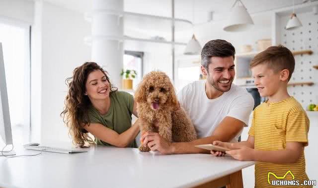 建议：宠物狗办理身份证，标注狗主人姓名，防止狗咬人找不到主人