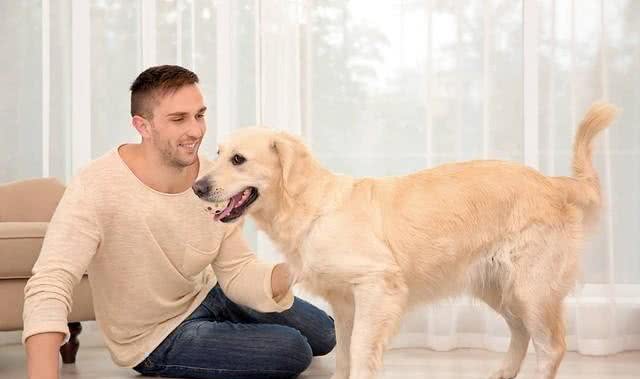 建议：宠物狗办理身份证，标注狗主人姓名，防止狗咬人找不到主人