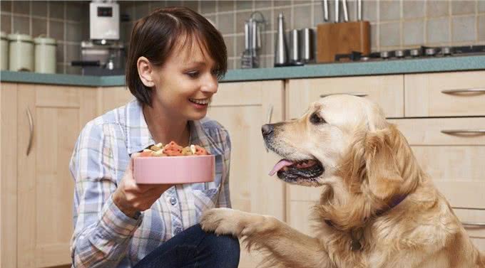 哪些食物会残害狗狗健康?当心这6种