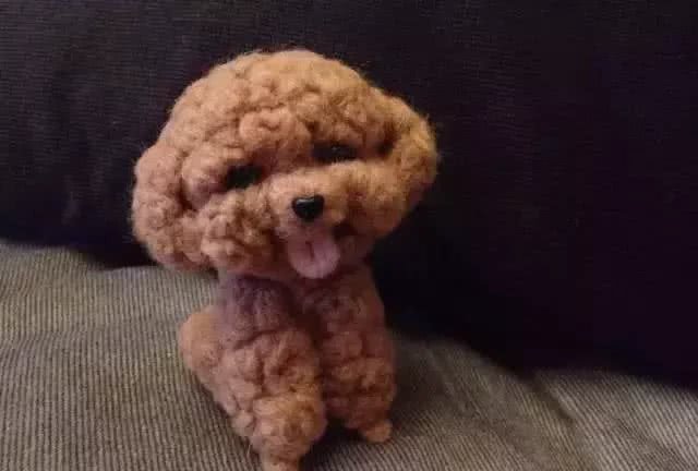 狗狗的毛发褪色了是什么原因?