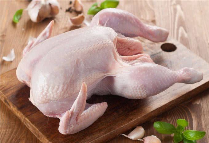 低脂狗粮哪个牌子好?如何挑选低脂狗粮?