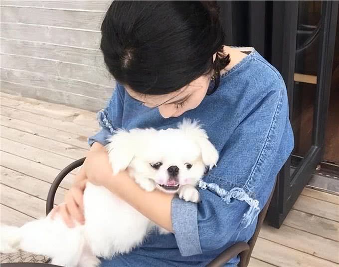 养狗时间长了，你会发现这9个神奇现象，别不信!