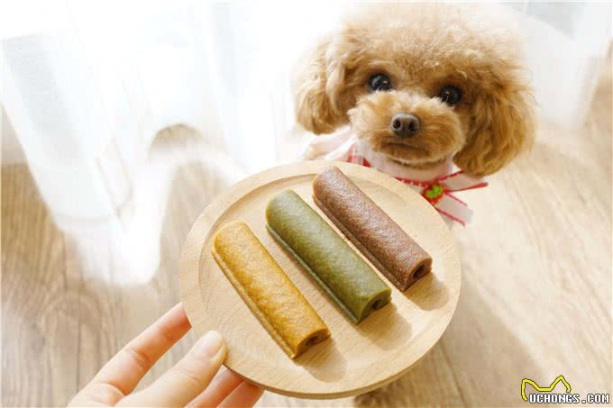 养狗时间长了，你会发现这9个神奇现象，别不信!