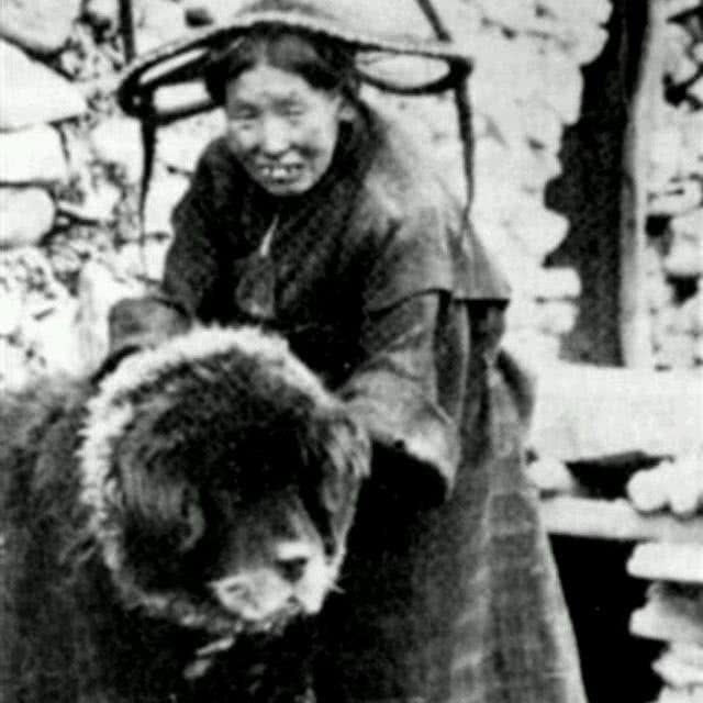 现在的藏獒都没了以前的霸气，看看民国时候的藏獒简直了