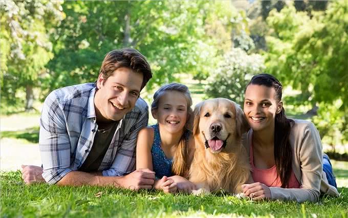 原来狗治百病不是假的，而是有科学依据的!