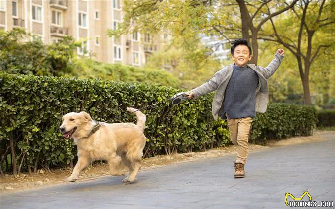 原来狗治百病不是假的，而是有科学依据的!