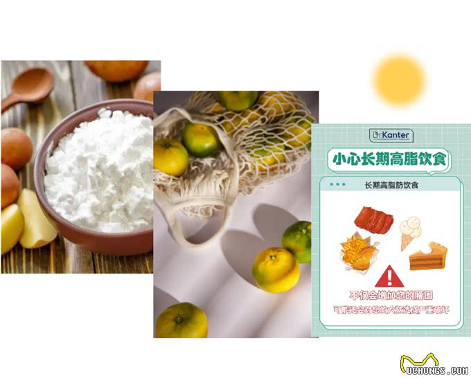 狗狗的饮食，连这个，都入不了它的眼