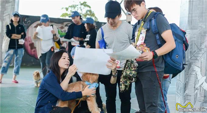 狗狗社会化是它们的必修课，对人对狗都有益