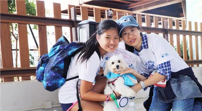 狗狗社会化是它们的必修课，对人对狗都有益