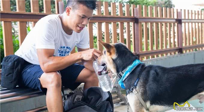 狗狗社会化是它们的必修课，对人对狗都有益