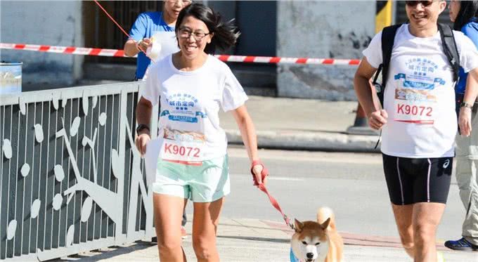 狗狗社会化是它们的必修课，对人对狗都有益