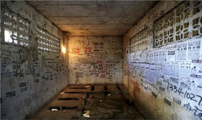 还在忍受狗狗随地大小便?为什么不看看这篇训练文