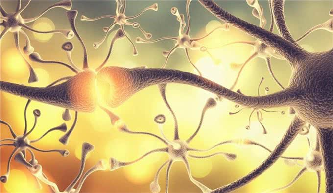 辟谣:狗感染蛔虫只会引起拉稀?这些致命疾病才是蛔虫的真实危害