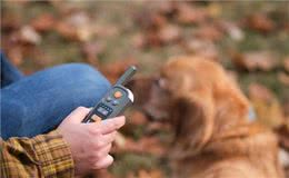 遛狗时告别缠绕，全球首款虚拟狗链亮相