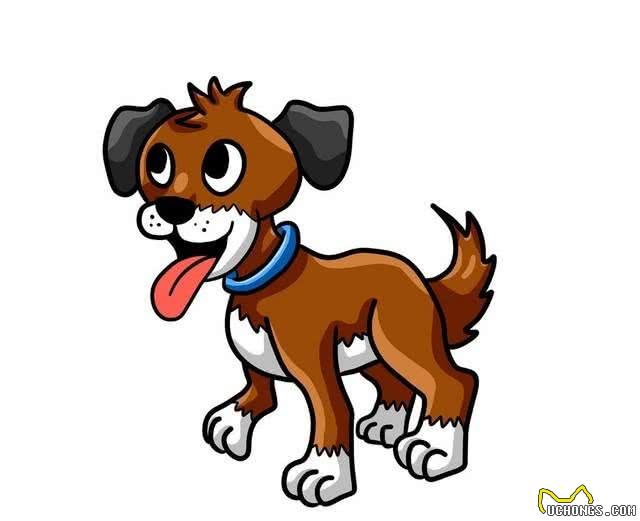 汪星人的年度大日子:狗狗狗的犬界奥斯卡