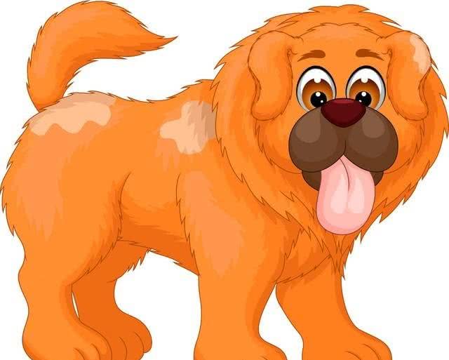 汪星人的年度大日子:狗狗狗的犬界奥斯卡