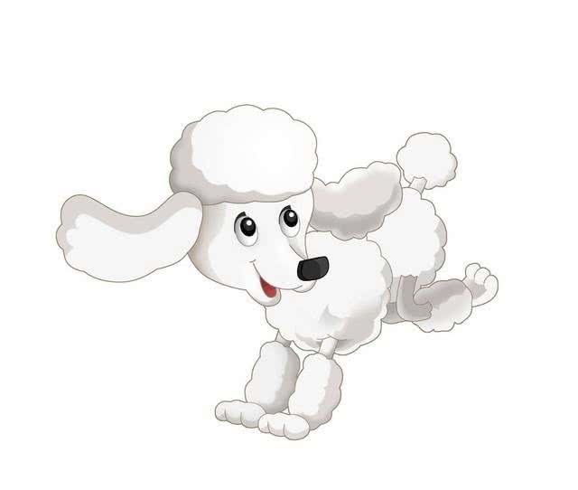 汪星人的年度大日子:狗狗狗的犬界奥斯卡