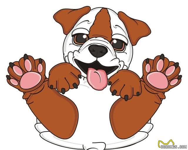 汪星人的年度大日子:狗狗狗的犬界奥斯卡