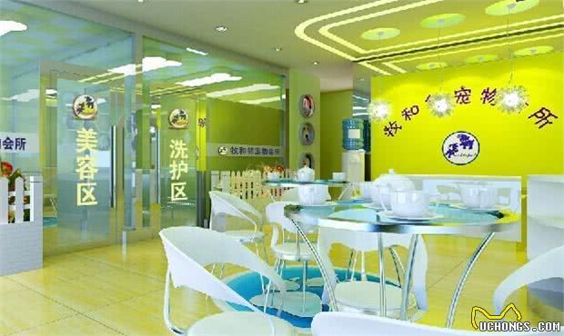 宠物美容店装修技巧