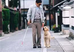 推荐4部超治愈的狗狗片