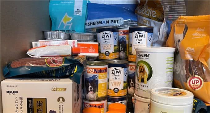 如何和你的狗狗一起旅行?