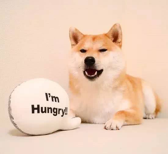 狗狗为什么会喜欢挠脸