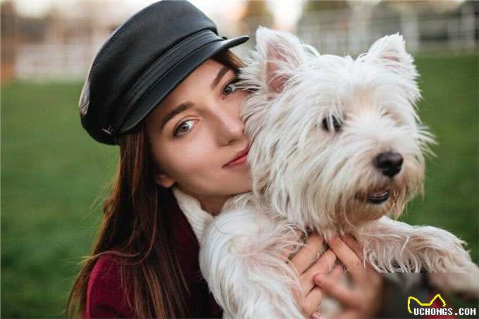 马尔济斯犬适合家养吗