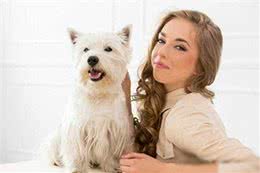 马尔济斯犬适合家养吗