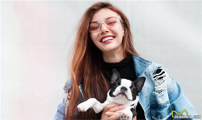 孤独的时候养一只懂人话的小狗如何?适合居家的10大最佳犬种