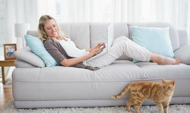 如何让宠物很听话，学会指令植入