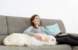 如何让宠物很听话，学会指令植入