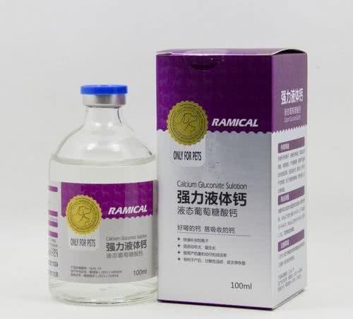 如何判断你家的狗狗进人老年期了?老年期的狗狗如何照顾?