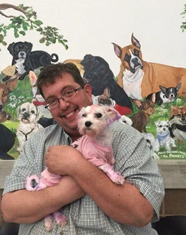 原主人给马耳他犬染了最新流行的紫色，差点要了它的命!