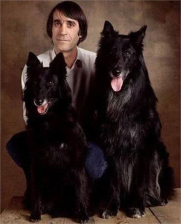 养这些牧羊犬，主子们可得好好调教，不然分分钟给甩脸色!