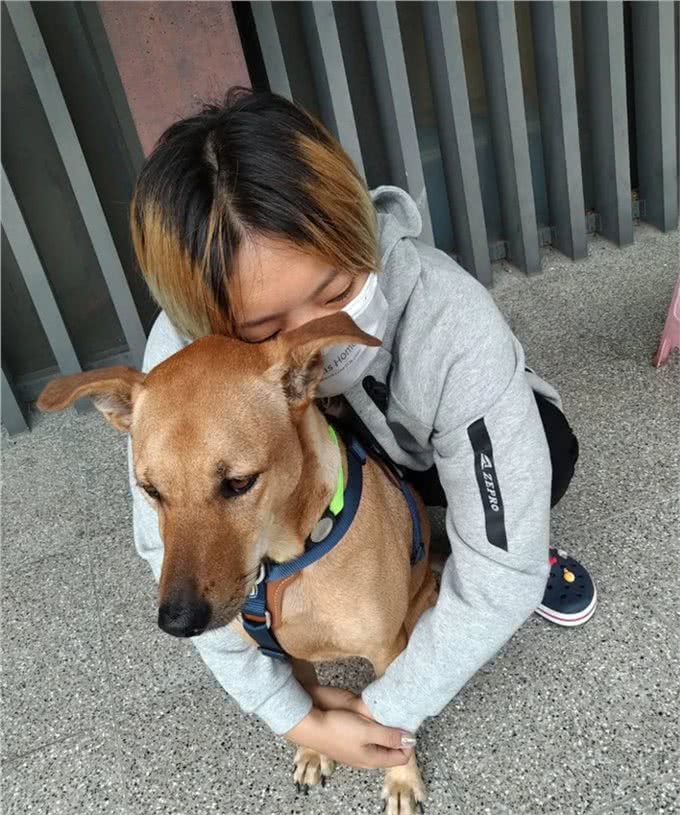 出门三天，抱着狗狗超不舍，狗狗表情却无奈，到底是谁分离焦虑?