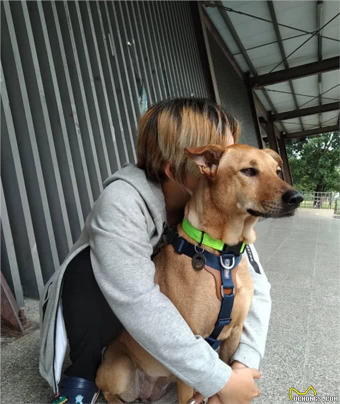 出门三天，抱着狗狗超不舍，狗狗表情却无奈，到底是谁分离焦虑?