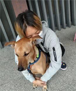 出门三天，抱着狗狗超不舍，狗狗表情却无奈，到底是谁分离焦虑?