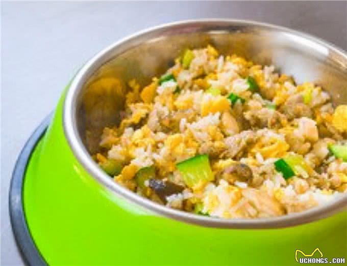 宠物健康:狗怎么增加免疫力