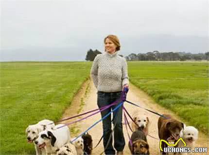 捡屎官必看!五个小方法让狗狗更长寿