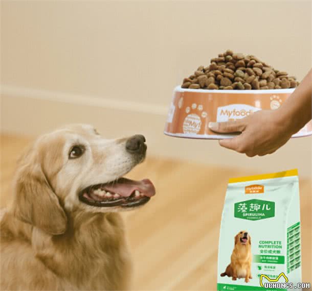 狗粮超高性价比推荐，给汪星人科学喂养